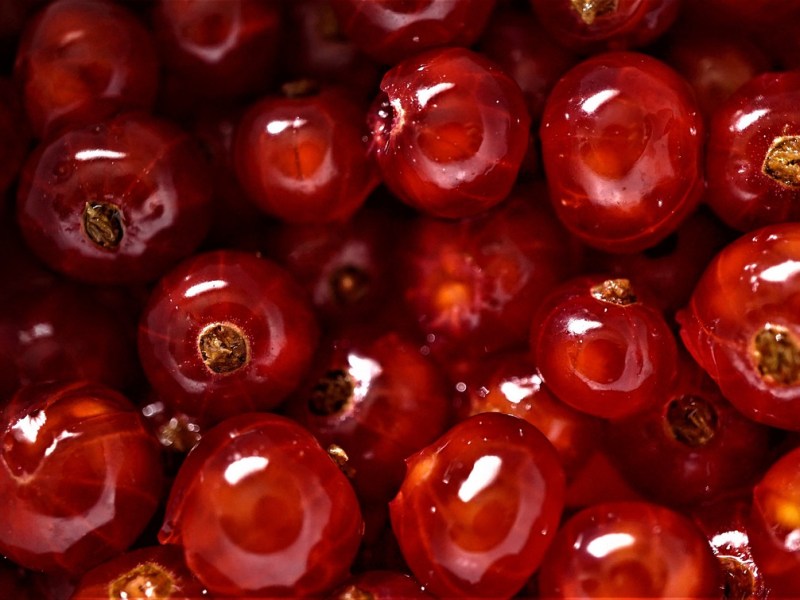 反応的な選択がドリームキラーに