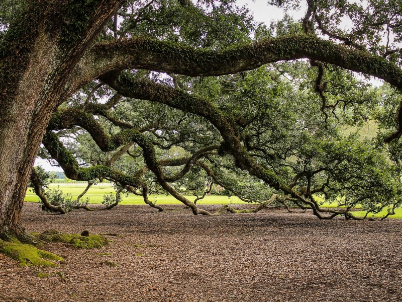 実際人生激変してるほどなのか？