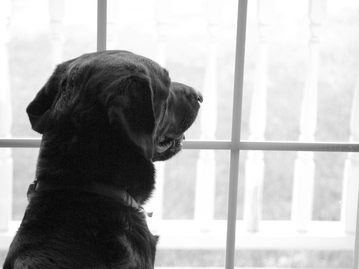 コーチングが嫌いになった